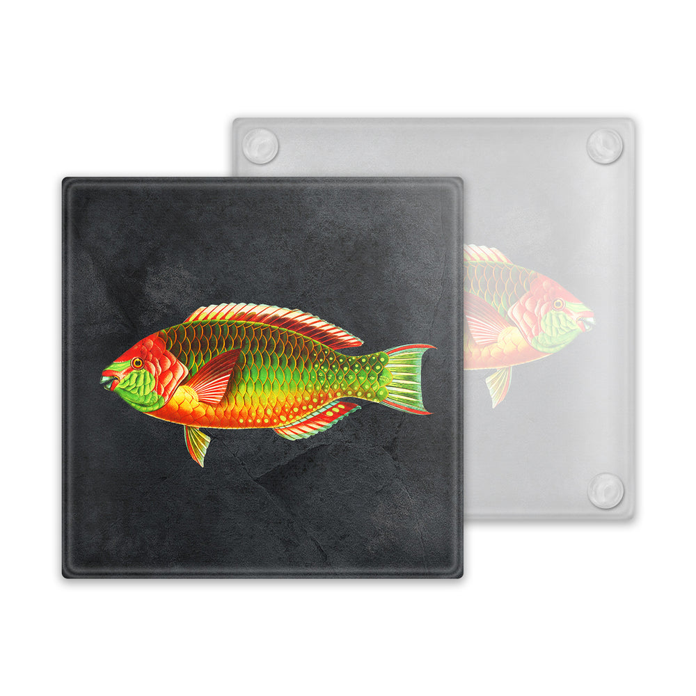 *Overstock* Rainbow Fish -  Glass Coaster
