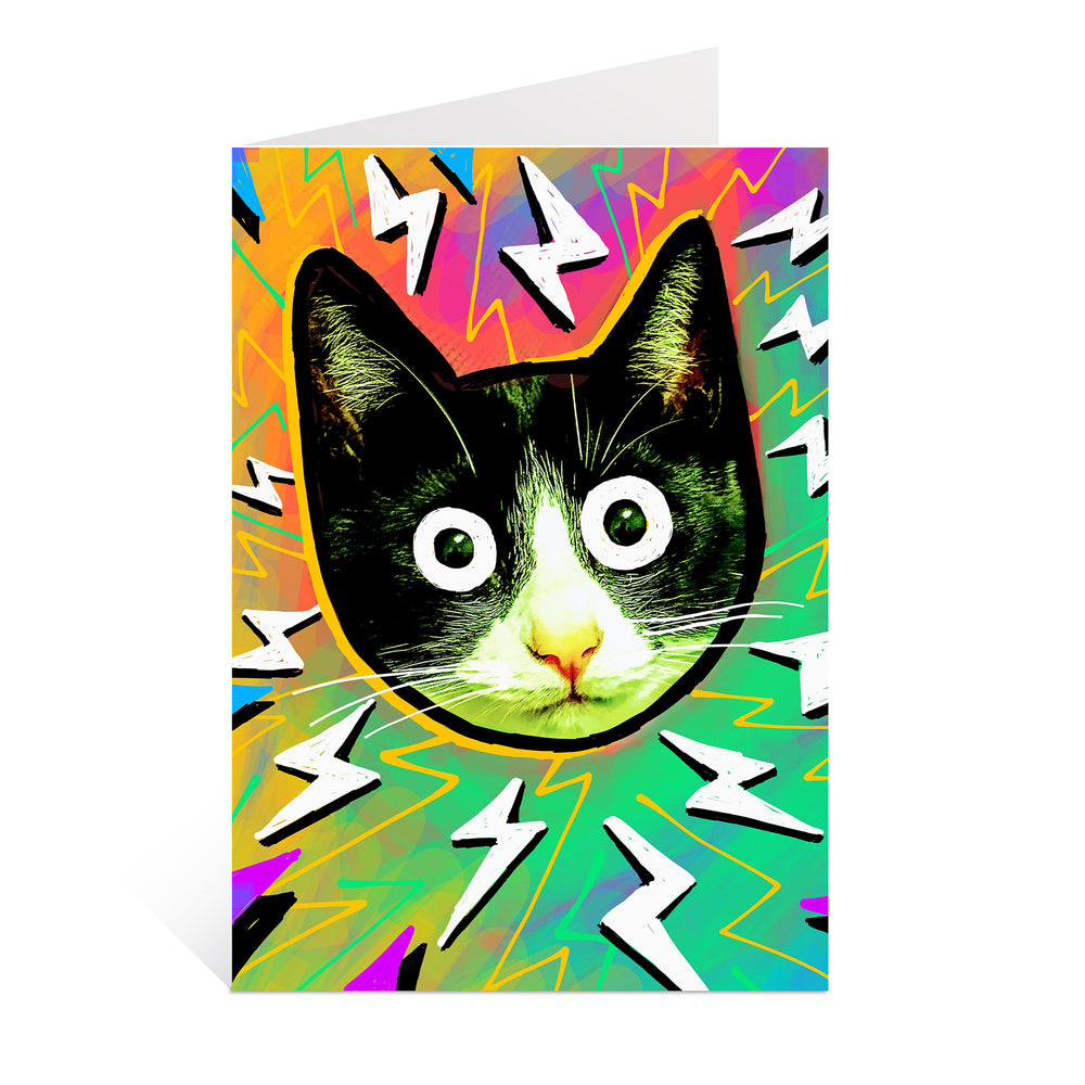 Crazy Cat A6 Greetings Card