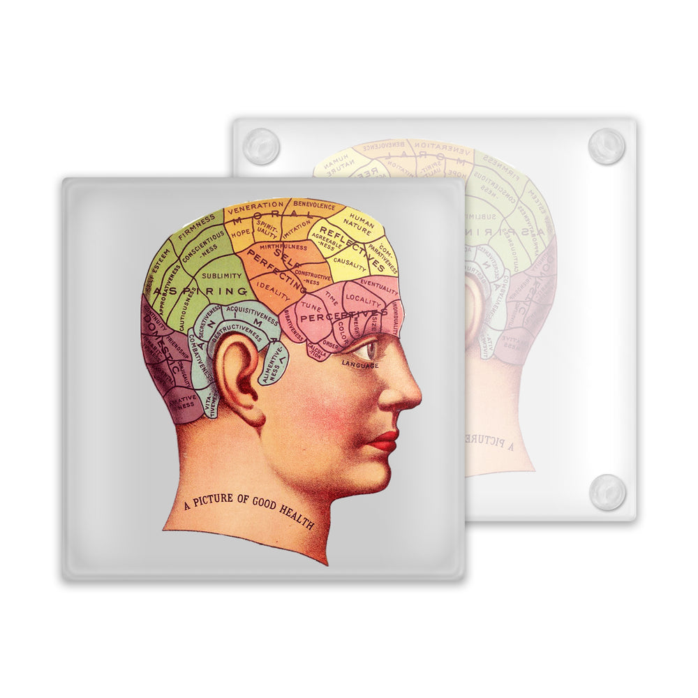 *Overstock* Phrenology Brain  Glass Coaster