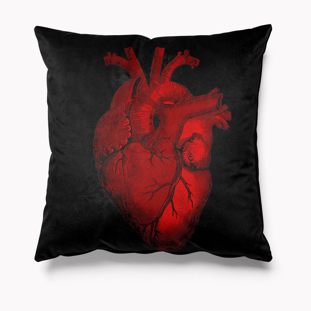 Anatomical hotsell heart pillow