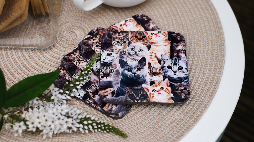 Crazy Cat Coaster - Kitsch Republic