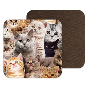 Cats, Cat Gift, Crazy Cat Coaster, Feline Gift, Cat Drinks Mat