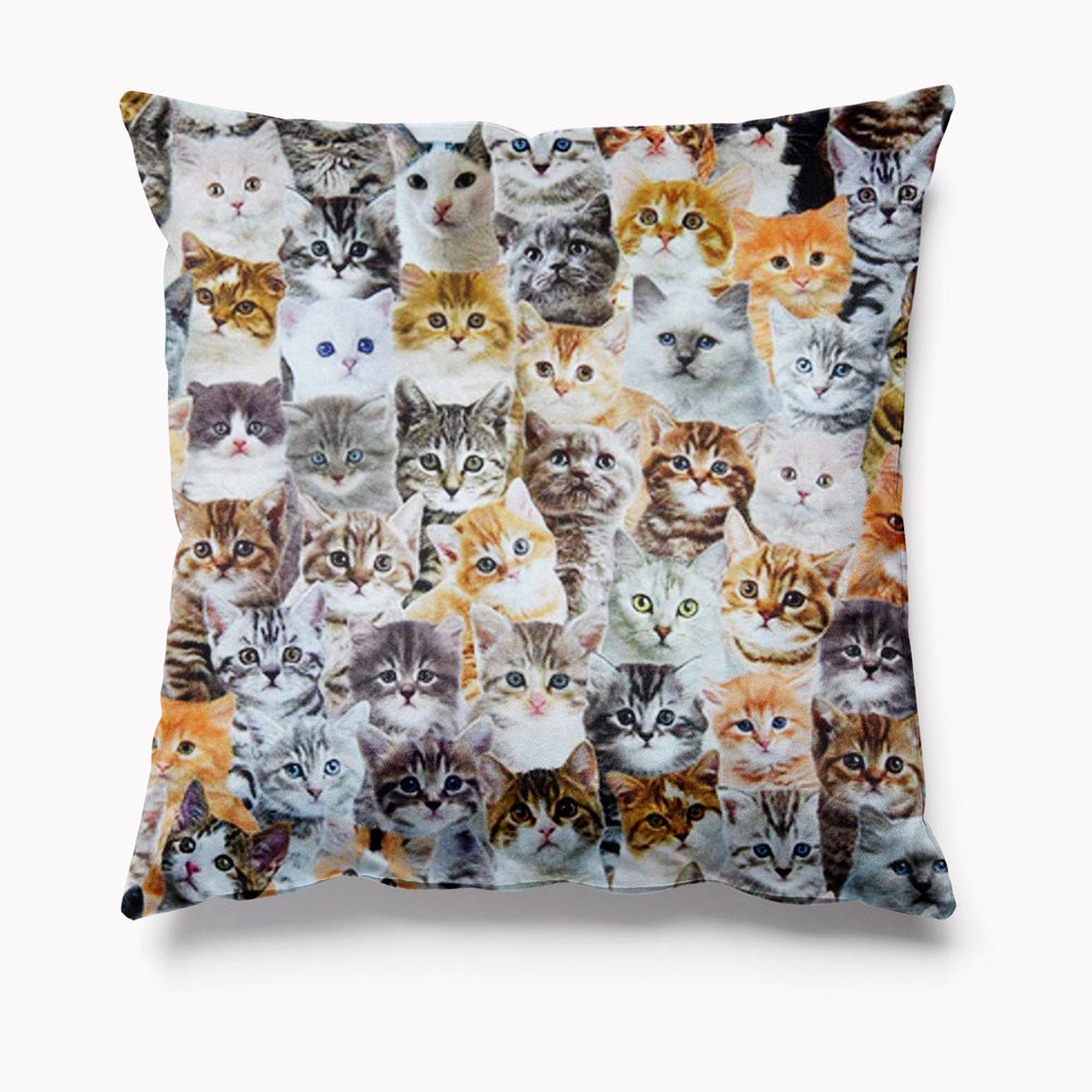 Crazy Cats Cushion