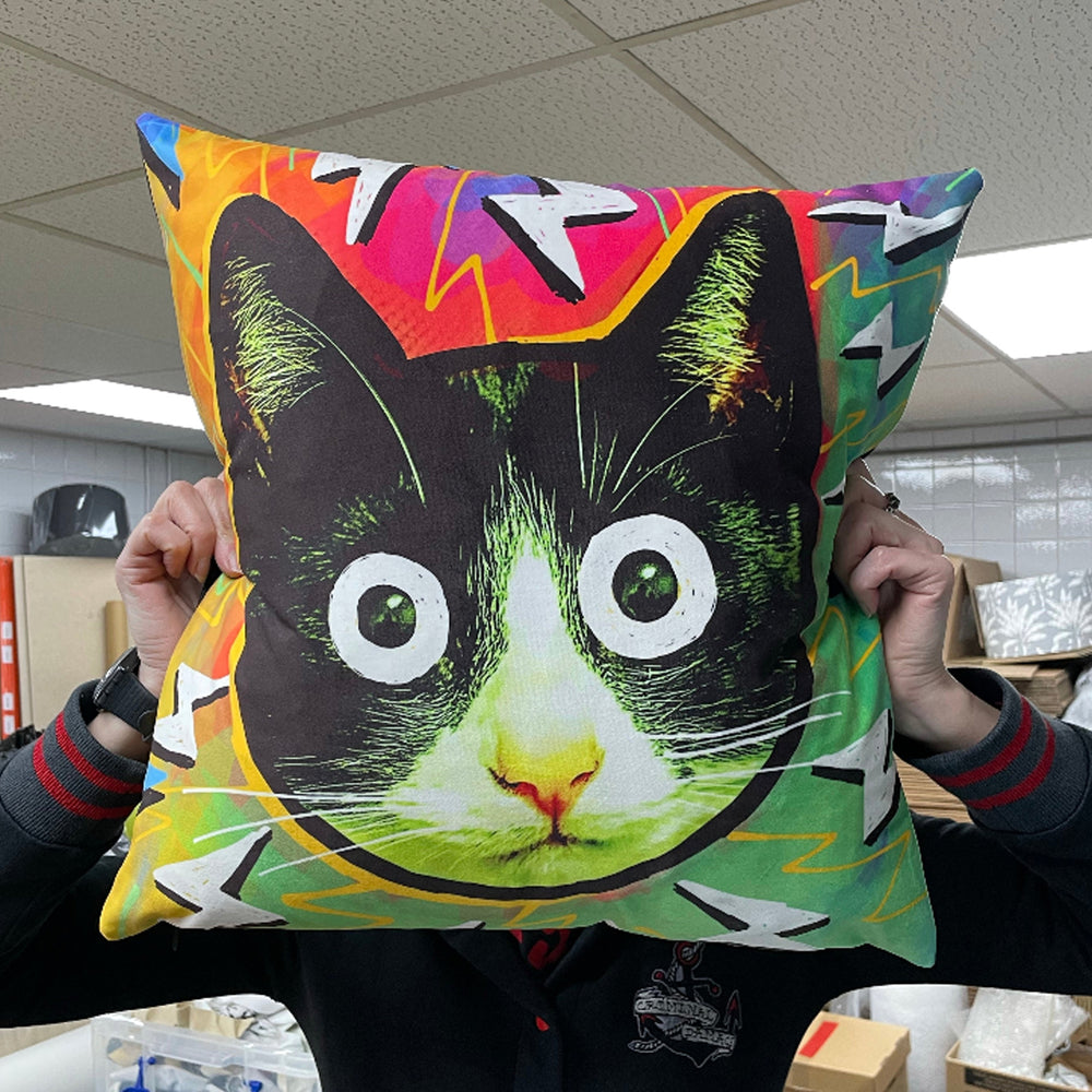 Crazy Cat Velvet Cushion - Kitsch Republic
