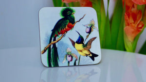 Vintage Hummingbird Coaster - Kitsch Republic