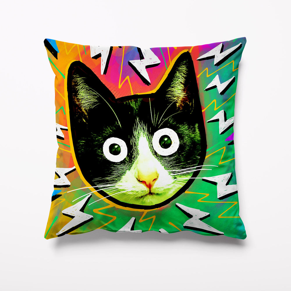 Crazy Cat Velvet Cushion - Kitsch Republic