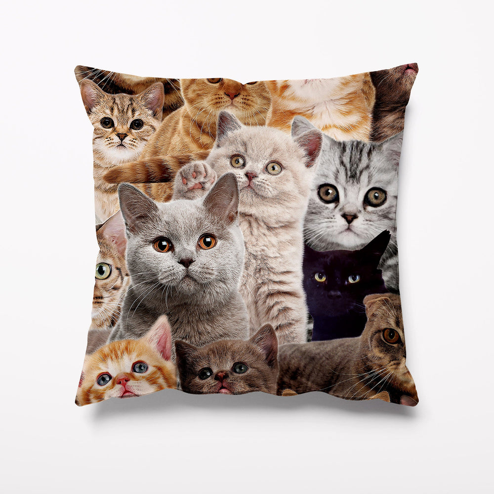 
            
                Load image into Gallery viewer, Outdoor Garden Cushion - Crazy Cat Cushion - Kitsch Republic
            
        