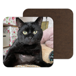 Personalised Cat Coaster -  Send us your photo's and turn them into the perfect gifts!