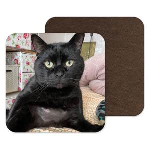 
            
                Load image into Gallery viewer, Personalised Cat Coaster -  Send us your photo&amp;#39;s and turn them into the perfect gifts!
            
        