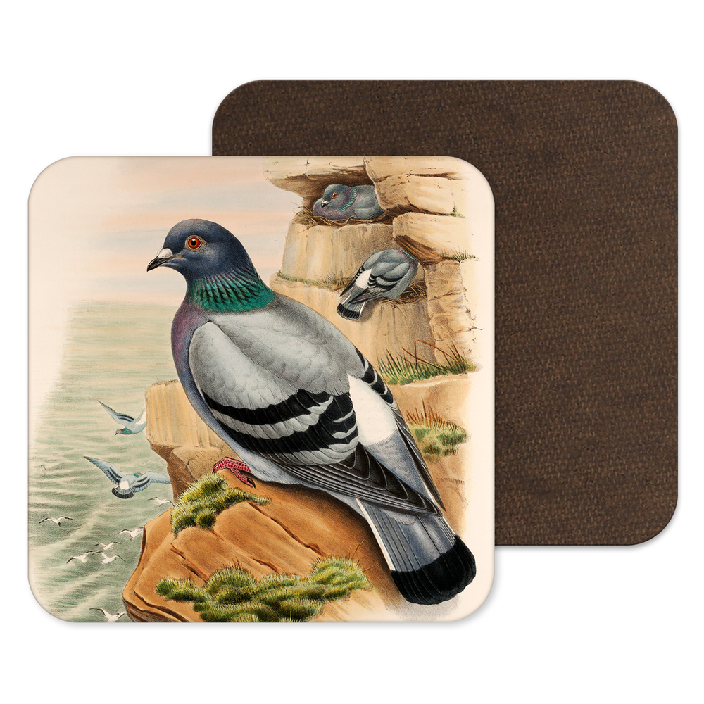 
            
                Load image into Gallery viewer, Pigeon Racing Homing Pidgeon Bird Coaster
            
        