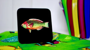 
            
                Load image into Gallery viewer, Rainbow Fish - Fishing Coaster - Kitsch Republic
            
        