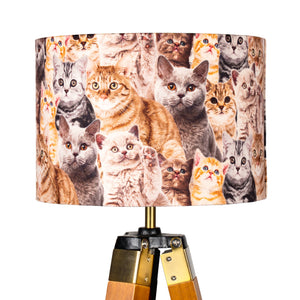 Cat Lampshade, Crazy Cat Lady, Cat Decor, Feline homeware