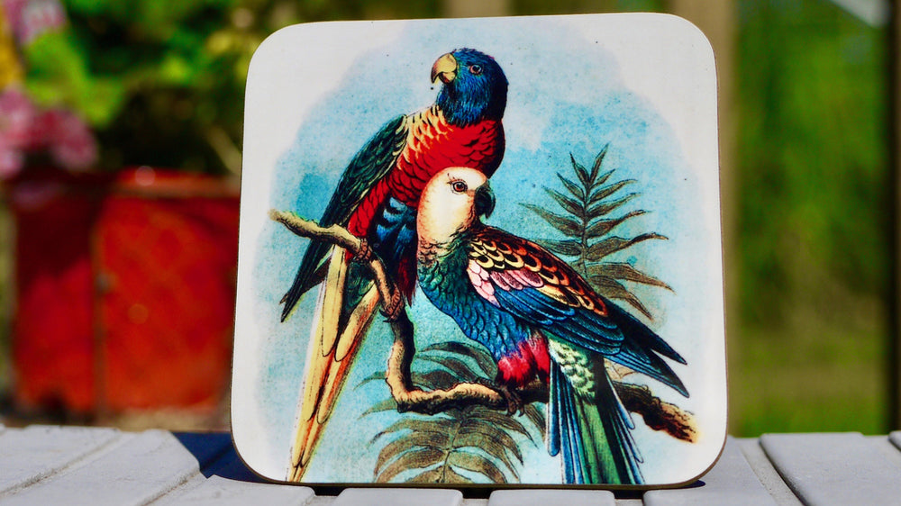 Vintage Parrot Coaster - Kitsch Republic