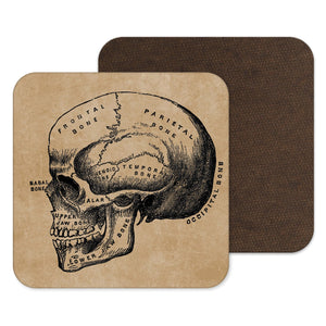 Skull Coaster, Drinks Mat, Horror, Medical, Phrenology, Creepy Gift, Halloween