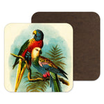 Vintage  Parrot Botanical Birds Coaster - Drinks Mat - Gift